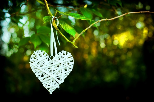 a picture of a heart on a tree